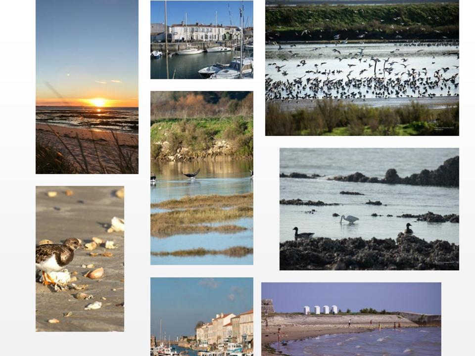 Ile De Re, La Danae, Velos, Wifi, Possibilite Cuisine, Linge, Parking Gratuit Saint-Martin-de-Ré Extérieur photo